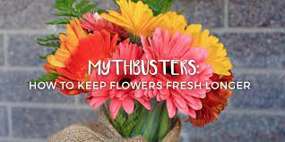We did not find results for: Mythbusters How To Keep Flowers Fresh Longer Fresh By Ftd