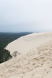 Bay Of Arcachon Bassin D Arcachon Travel Tips France Visit France Travel Blog Arcachon Dune Du P Beautiful Places To Travel Happy Travels Virtual Travel