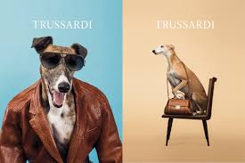 • delicato sul collo del cane grazie alla morbida imbottitura Trussardi Festeggia I 40 Anni Del Levriero Likemimagazine