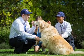 Prochem proactive has added a full canine detection department to thermal pest eradication, known simply as heat, is an alternative form of pest control that involves safely raising the temperature of an affected area to. Clark Pest Control Fresno Home Facebook
