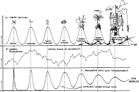 Levels Of Organization In Biology Stanford Encyclopedia Of