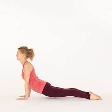 Upward Facing Dog Pose Ekhart Yoga