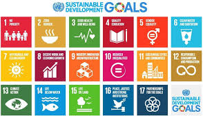 Sustainable Development Goals Google Search Un Sustainable Development Goals Sustainable Development Sustainable Development Goals