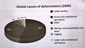 Tonyenglish Vn Global Causes Of Deforestation 2006