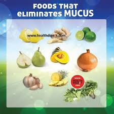 Foods That Eliminates Mucus Check Out Also Top Foods For Healthy Lungs Http Www Healthdigezt Com Top Foods For Healthy L Healing Food Healthy Lungs Health