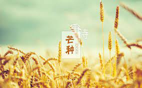 導歌 前世迟来者 掌⼼刻 你眼中烟波滴落一滴墨 若佛说 放下执着 我怎能 波澜不惊 去附和. èŠ'ç§ Mangzhong Vocaloid Lyrics Wiki Fandom
