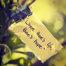 Best 51 Whatsapp Dp And Whatsapp Profile Pictures Collection Update Whatsapp Status Whatsapp Status In Hindi Attitude Words Of Hope Quotes Hope Quotes To grab someone's attention we update our facebook profile picture status more often.