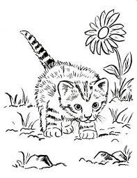 Hgtv helps you choose nursery and baby room colors that will create a nurturing environment for your new child's room. Baby Animal Coloring Pages Coloring Rocks Cat Coloring Book Kittens Coloring Puppy Coloring Pages