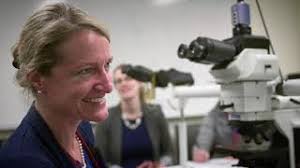 Targeted Cancer Therapy