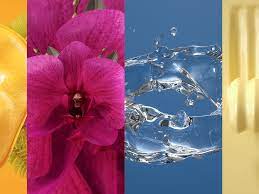 Trends zoomby and disappear in the blink of an eye. We Already Know The Top Colors For Spring 2022 Fashionista