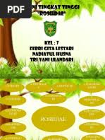 Image result for Thesium magnifructum