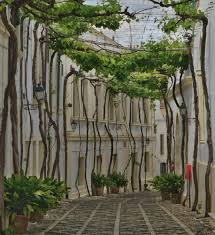 Calle Ciegos Jerez De La Frontera Viajes Fronteras Calle