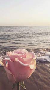 We did not find results for: Flower Wallpaper And Tumblr Image 6785770 On Favim Com