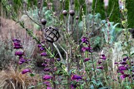 Check spelling or type a new query. Gardens Archives Page 5 Of 5 Hyland Garden Design