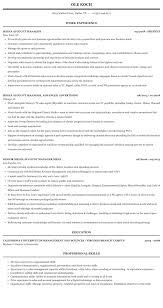 Commercially minded and creative in nature, the pr account director is adept at building relationships with key commentators, industry spokespeople and senior journalists. Media Account Manager Resume Sample Mintresume