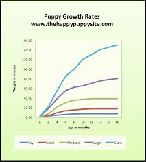 21 competent breed weight chart