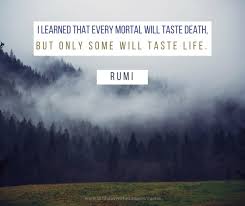 Unbound by name and fame, he is free from sorrow from the world and mostly from himself.. Quotes About Life Rumi 34 Quotes