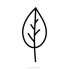 Hojas De Arbol Para Colorear