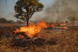 Image result for harmattan ghana