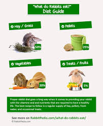 May 08, 2013 · some years, rabbits eat the foliage on the crocus, some years they don't. What Do Rabbits Eat The Ultimate Guide Rabbitpedia Com