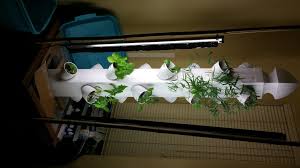 Because it is so simple, cheap and affordable, it makes a great first try at aquaponic, and a good opportunity to educate children in your home on your class about. Aquaponics Vertical Garden 3 Steps With Pictures Instructables