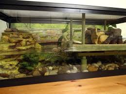 Amazon Com Penn Plax Decorative Turtle Pier Floating Basking Platform Large Turtle Dock Pet Supplies Turtle Care Turtle Tank Tortoise Turtle