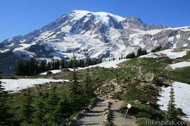 Pets are not allowed on trails. Skyline Trail Mount Rainier Washington Hikespeak Com