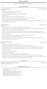 revenue auditor resume sample mintresume