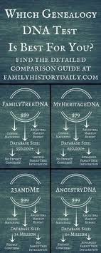 which ancestry dna test is the best a detailed comparison