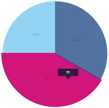 chartistjsf a responsive chart library for java server