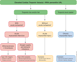 It is, therefore, possible for someone to present to hospital with symptoms of acs and have a normal troponin and ecg initially, but still be having an nstemi. Nstemi Treatment Should We Always Follow The Guidelines Springerlink