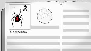 May 22, 2017 · les oiseaux sont des grands amateurs de vos cerises et vous ne savez plus quoi faire ? Comment Tuer Les Araignees 11 Etapes Avec Images