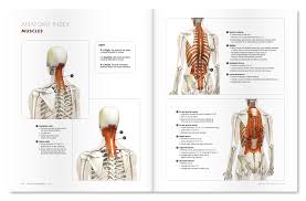 The Daily Bandha Degenerative Disc Disease The Sushumna Nadi And Yoga