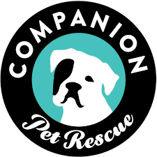 Choose among purebred or designer puppies! Pets For Adoption At Companion Pet Rescue New England In Watertown Ct Petfinder