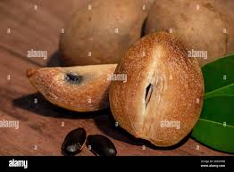Image result for Manilkara zapota