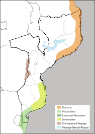 Image result for Eriolaena rulkensii