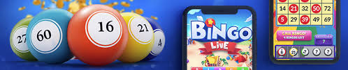 If you sign up to our partner site. Real Money Bingo Play And Win At Top 2021 Online Casinos