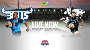 Some people want to know comparison between white shark vs bull shark or white shark vs tiger sharks. Recap Bulls V Sharks Rugby365