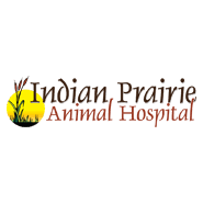 Aurora animal clinic has been proudly serving quality pet medical, surgical, and dental services to the aurora, newmarket, and richmond hill communities aurora animal clinic has been accredited by the american animal hospital association (aaha) since 2000. Veterinarian In Aurora Il Indian Prairie Animal Hospital