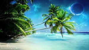 There are 1234 beautiful palm trees for sale on etsy, and they cost $22.69 on average. Palm Tree On Paradise Beach Wallpaper Download Hd Wallpapers Most Beautiful Nature Of Indonesia 1920x1080 Wallpaper Teahub Io