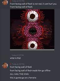 We did not find results for: Front Facing Wall Of Flesh Terraria
