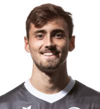 Dominik Robin Schmid Stats