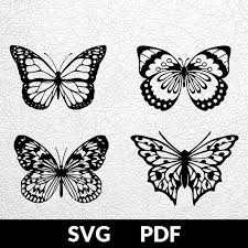 Black And White Stencil Butterfly Outline Pin On Cut Files