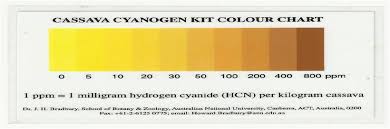 Figure 3 Cassava Cyanogen Kit Color Chart For Cyanide