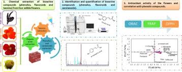 Sort by popularity sort by average rating sort by latest sort by price: Phytochemicals Screening Antioxidant Capacity And Chemometric Characterization Of Four Edible Flowers From Brazil Sciencedirect