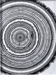 Tree Rings Did You Know Not Only Age Is Determined But Also Years Of Good And Bad Water Even Fire Damage Tree Drawing Tree Rings Colossal Art