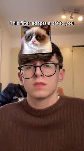 Im Just A Cat Simon and The Astronauts Traduccion