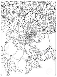 Most of us might already know that butterflies undergo a life cycle called metamorphosis. Decorative Flowers Birds And Butterflies Coloring Book For Adult And Older Children Coloring Page Outline Drawing Vector Illustration Royalty Free Cliparts Vectors And Stock Illustration Image 57227803