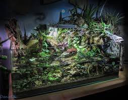 This Is A Very Nice Paludarium But What Is Really Astonishing How Its Creator Has Documented The Building Of It Check Out Aquascape Fish Tank Aquarium Fish