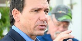 DeSantis Suspends Councilwoman Charged with Using False Address · The  Floridian